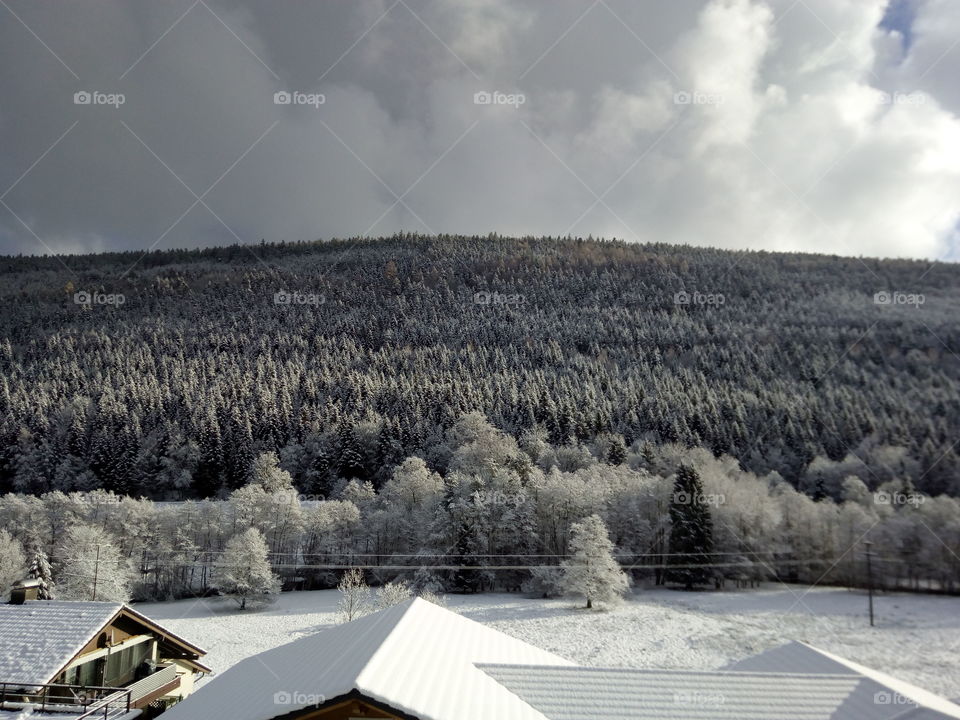 Schwarzwald