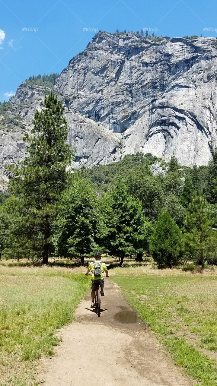 Biking in Yosemite National Park