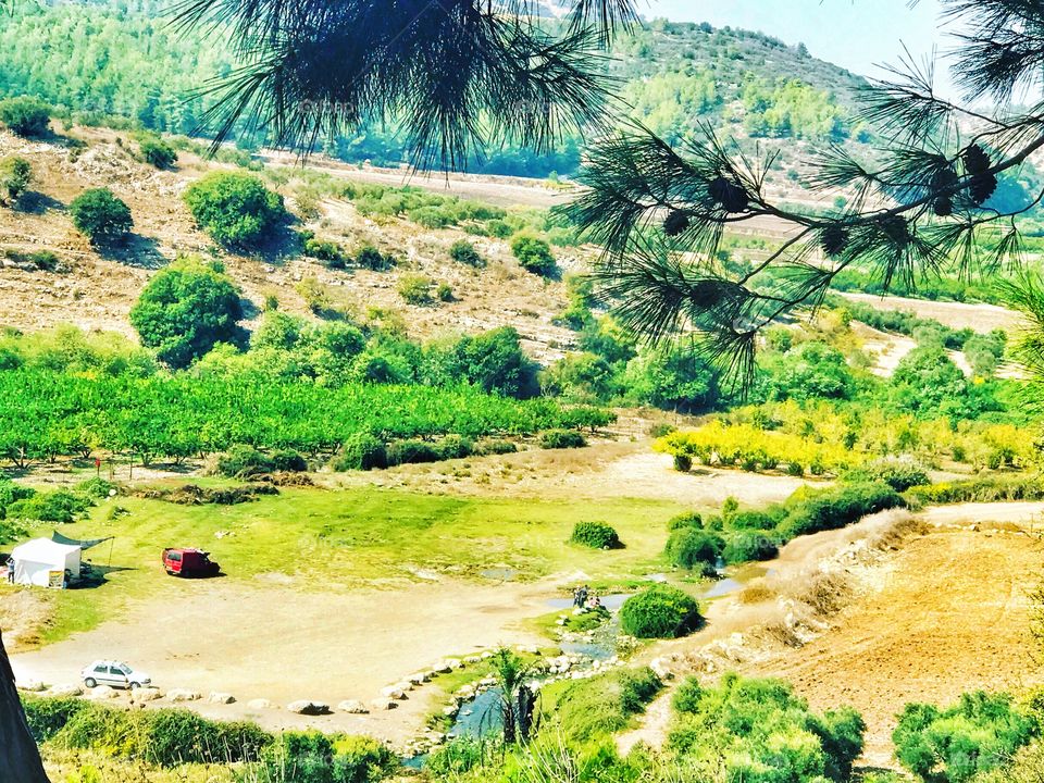 Beautiful view for the nature .