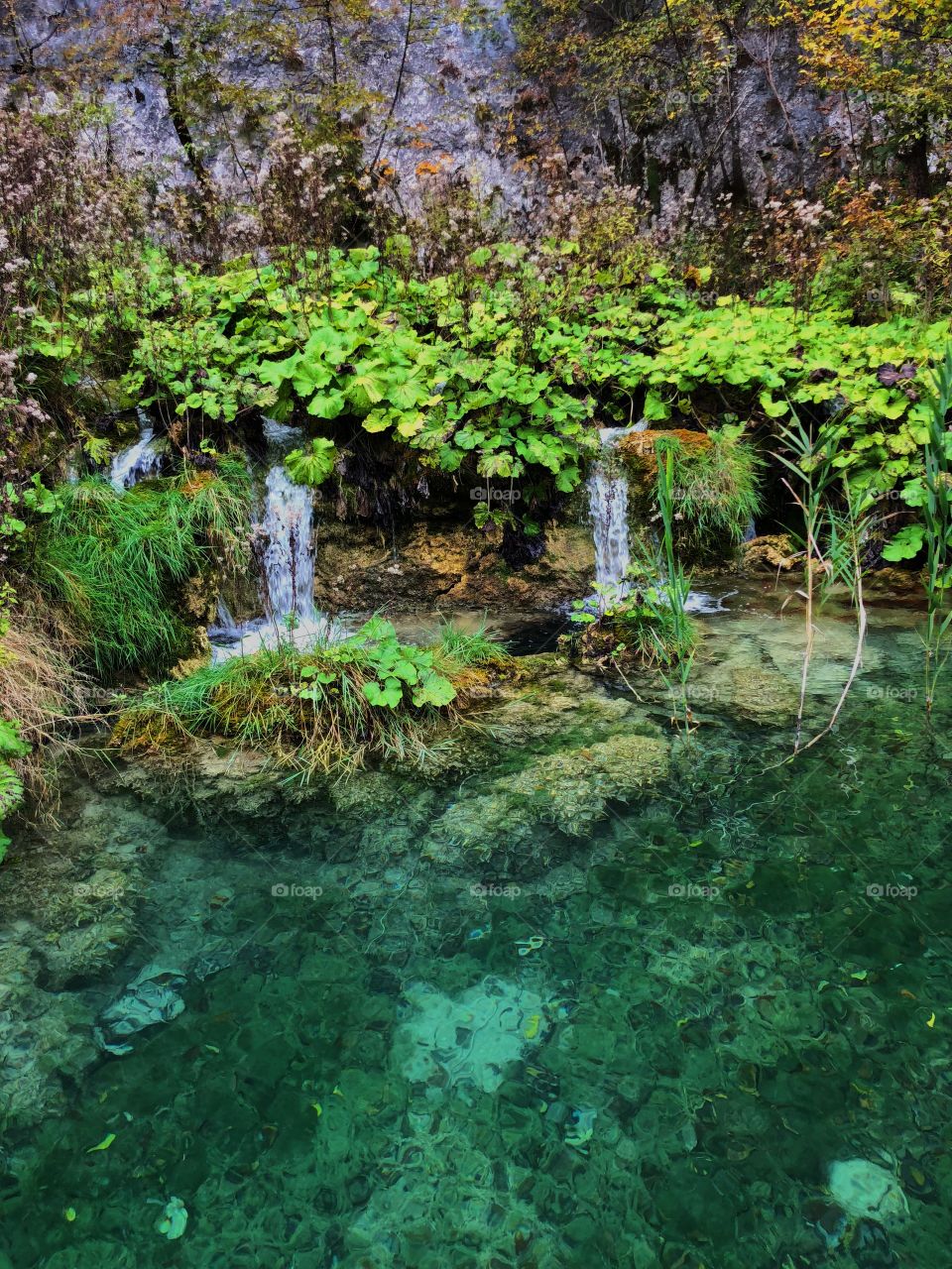 Wonderful landscape in Croatia , Plitvice lakes