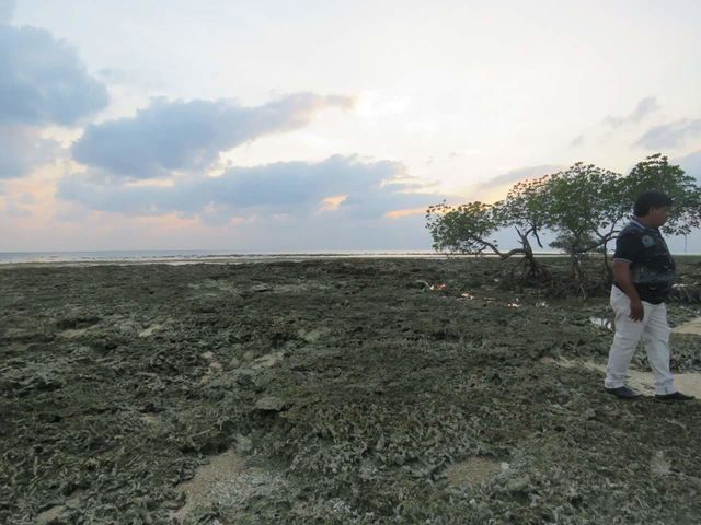 nil iland