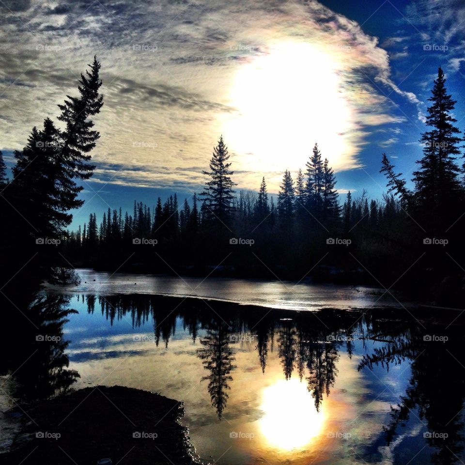 Silhouetted trees reflected on lake at dawn