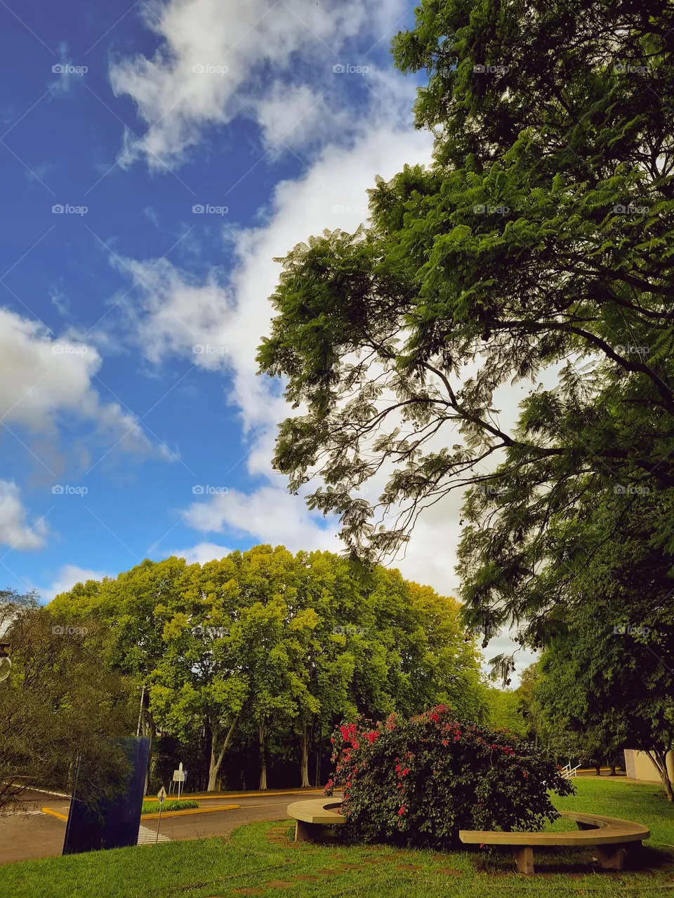Paisagem