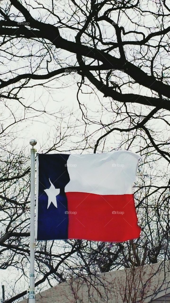 Texas Flag in winter
