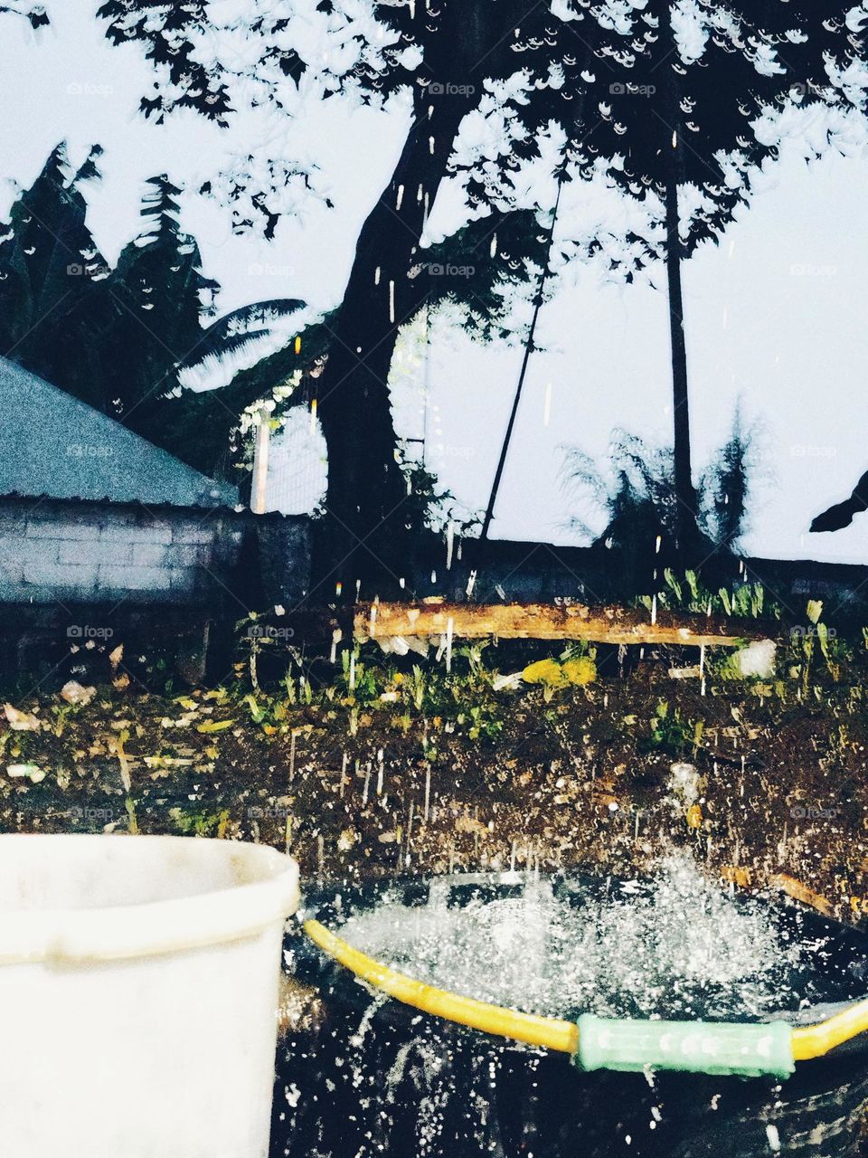 Afternoon rain at Salak Mountain west java Bogor