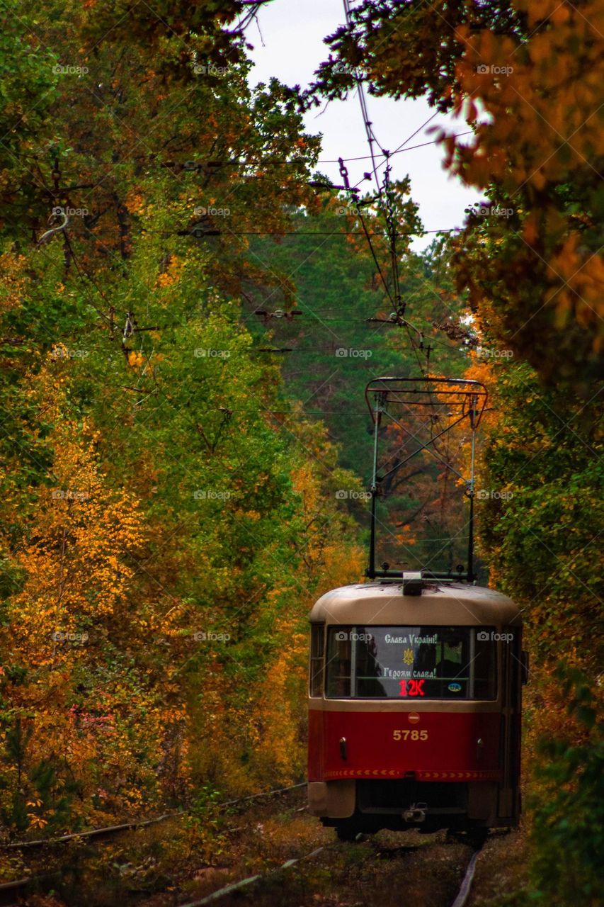 a lonely old tram in the middle of an autumn forest😍