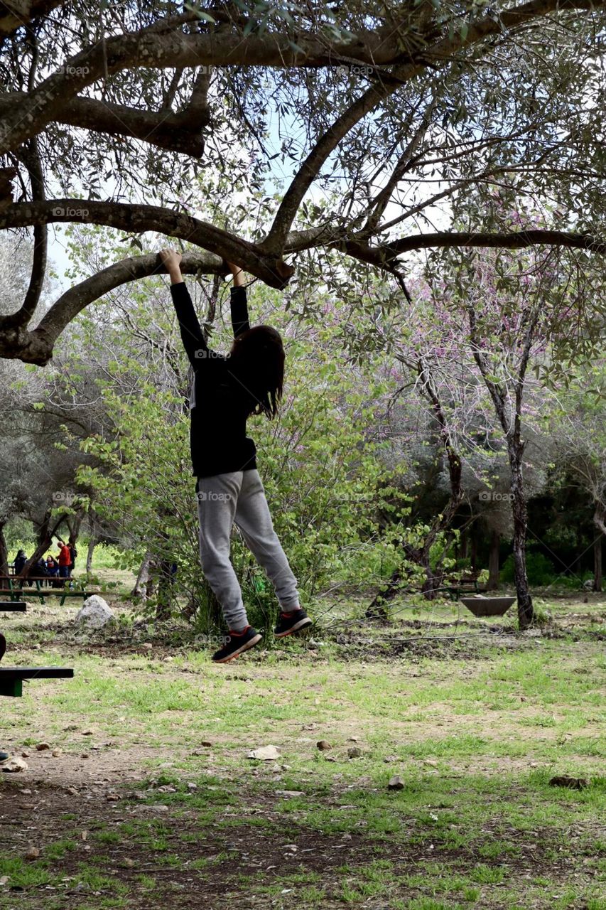 Kid swing on tree brunch in the forest