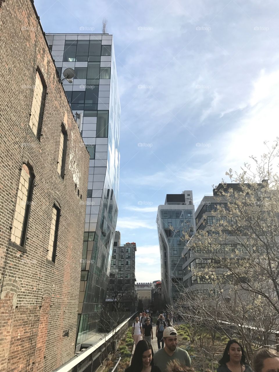 High Line,  buildings