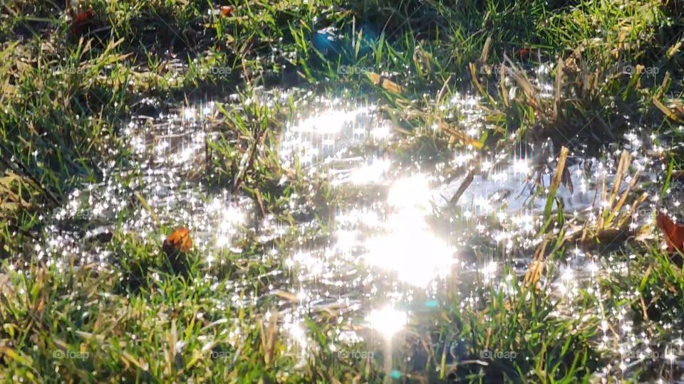Sun Ray Water Reflections