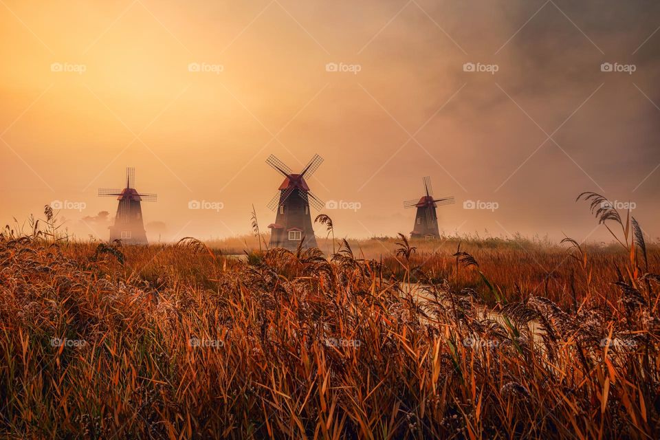 autumn dawn with old windmill