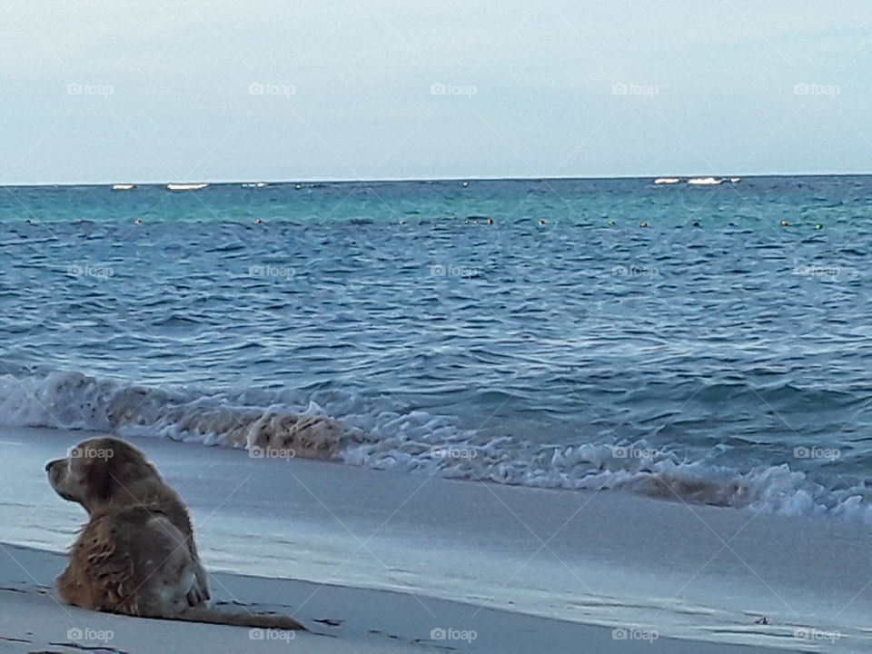 a walk in the evening by the ocean gives new meetings and impressions