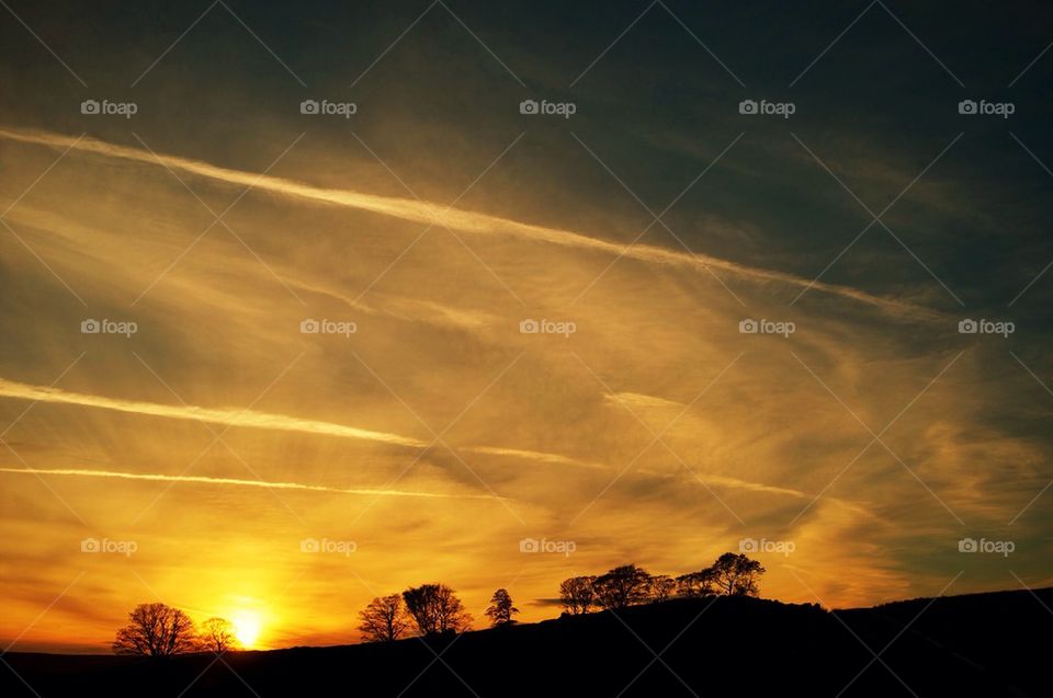 A golden, swirling sky surrounds a row of silhouetted trees at sunset