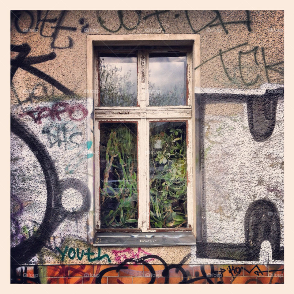 graffiti wall window berlin by coffasthlm