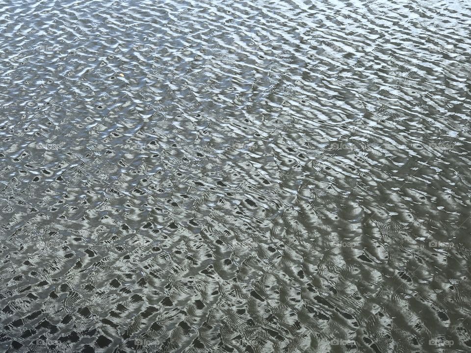 Water in motion: wind on the river 