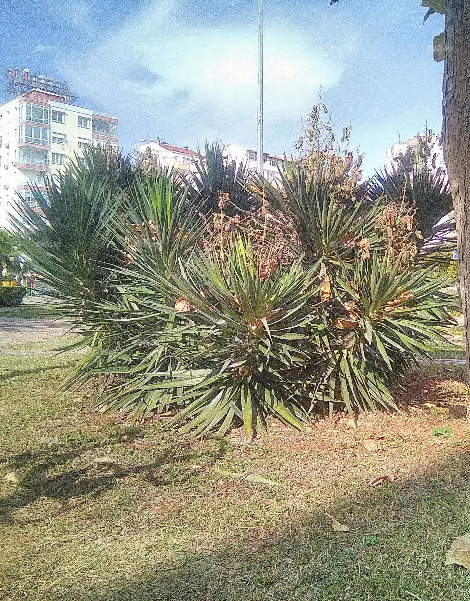 perfect imperfection