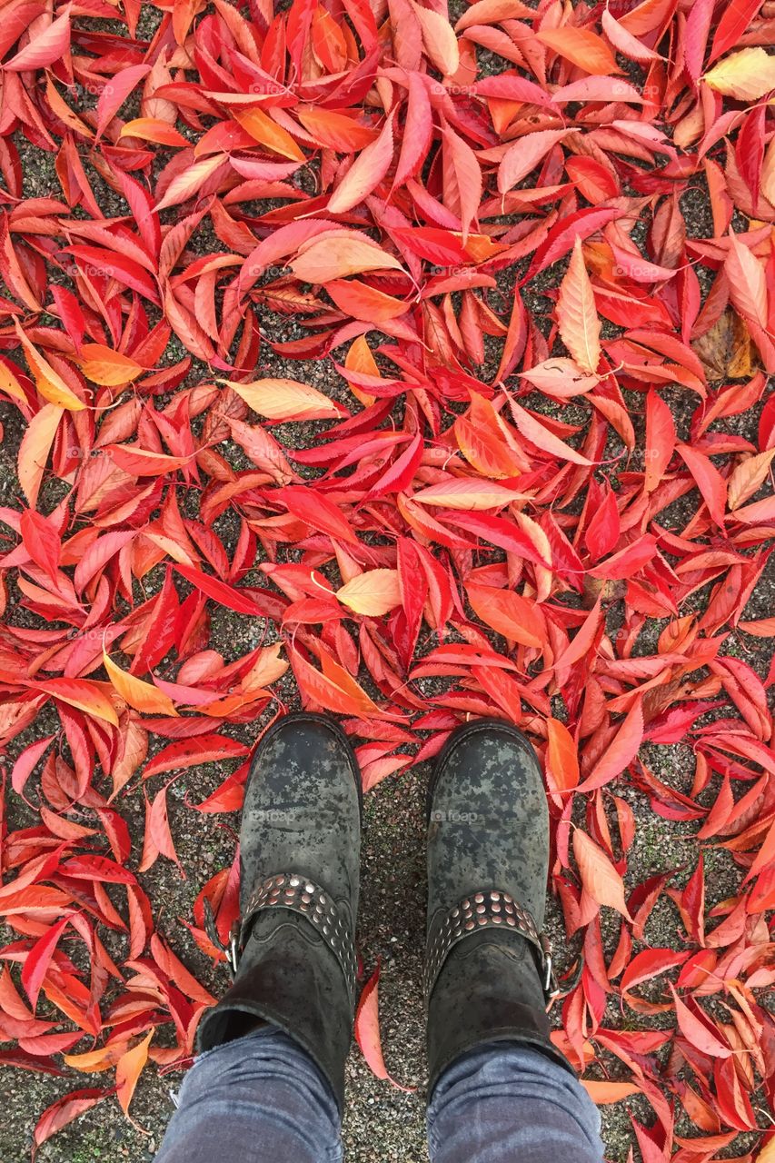 Standing amongst Autumn leaves