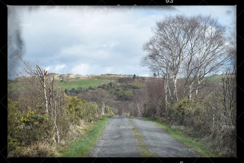 Ireland countryside 