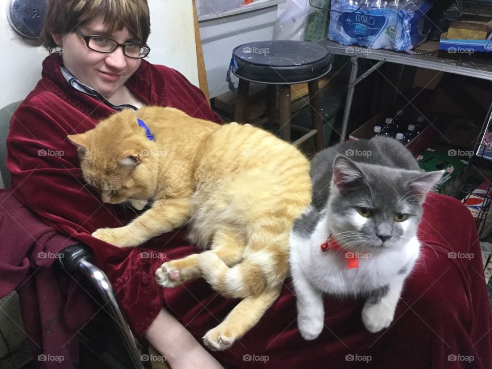 Two cats, No room - Tom Tom the cat, Alphonse, and I