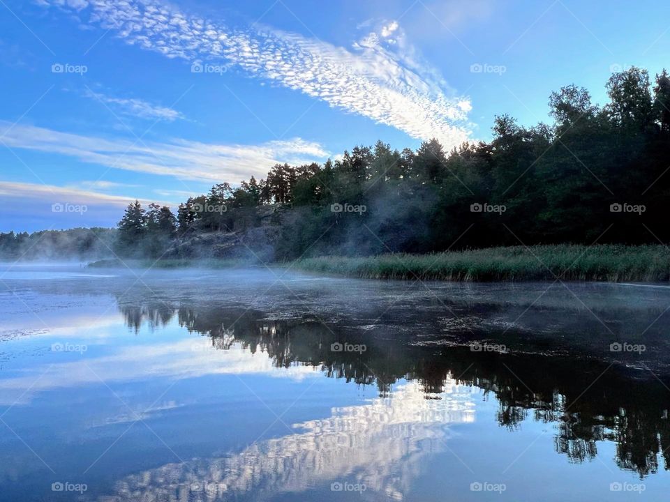 Enchanted lens: Exploring the magic forest 