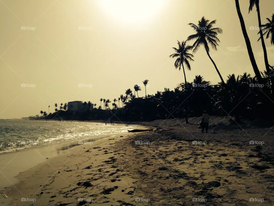 Paradise 