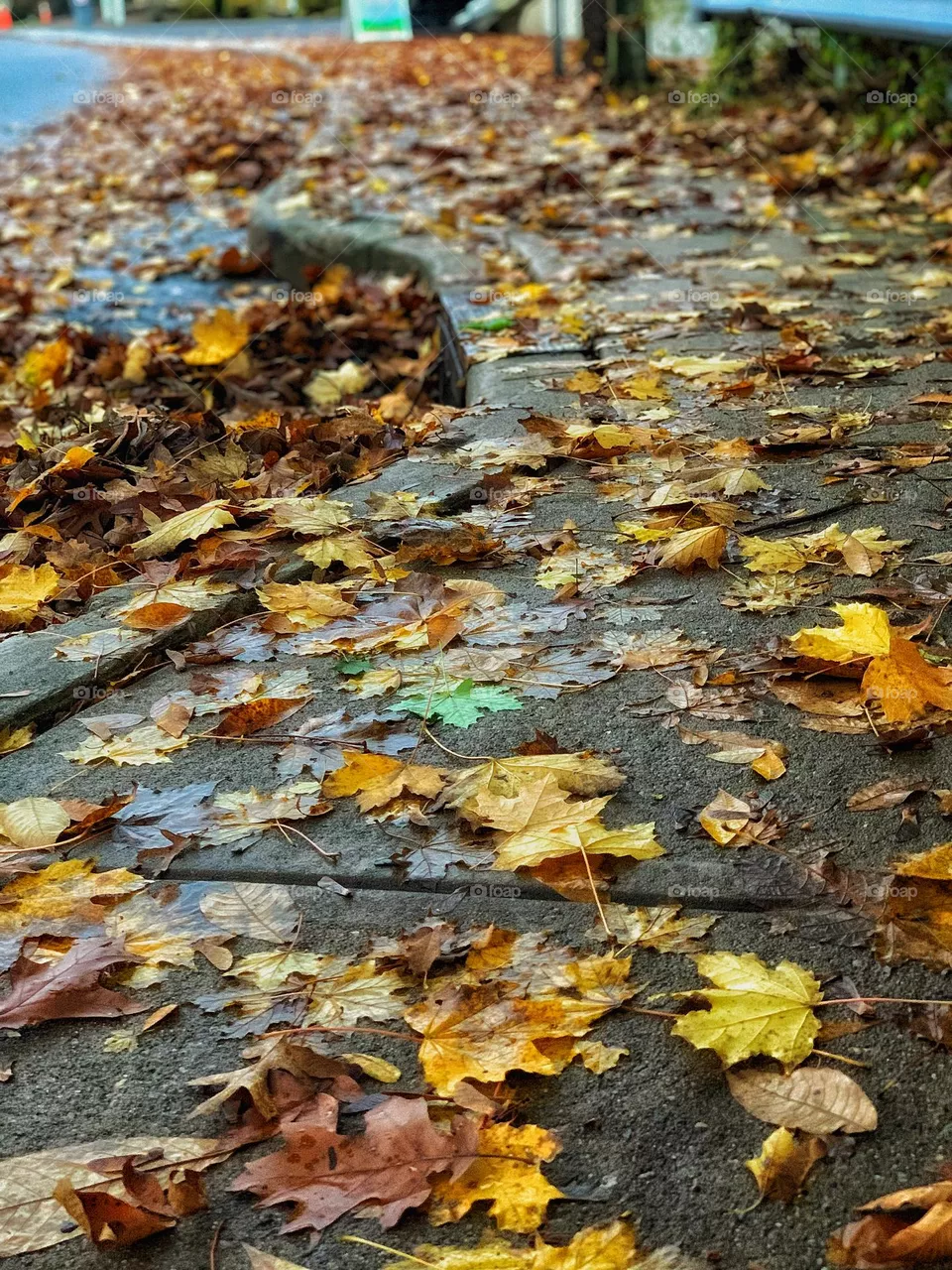 Fall