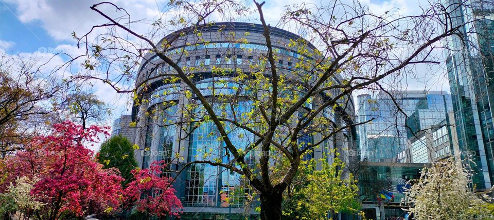 Plants Adoring World Famous Offuce