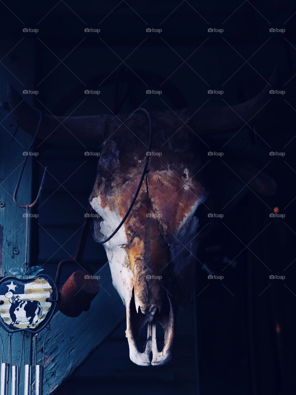 Cow Skeleton wall deco 