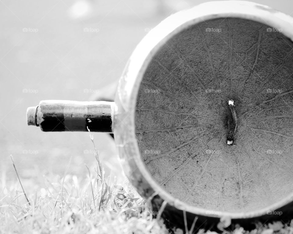 Berimbau, Capoeira  - Pursuit of passion