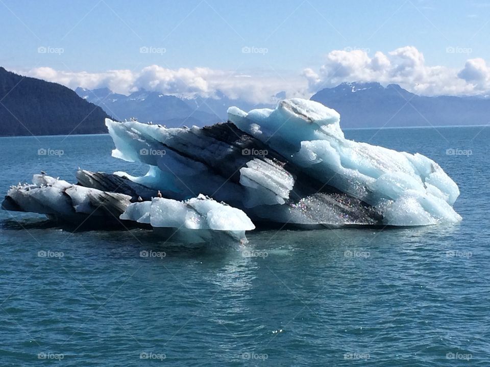 Glacier ice in Prince William Sound Alaska