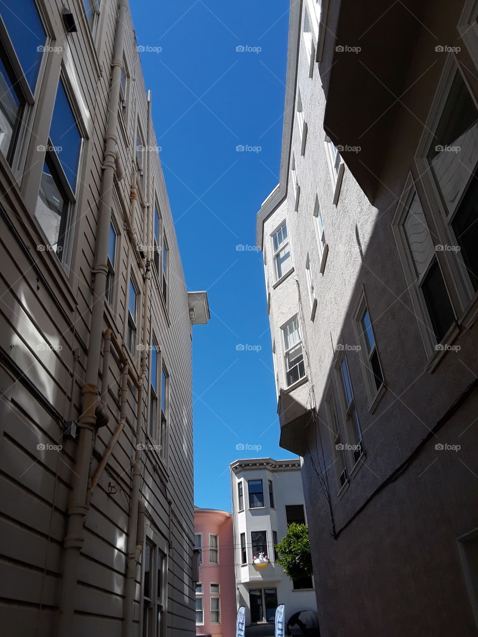 Living and architecture of San Francisco California