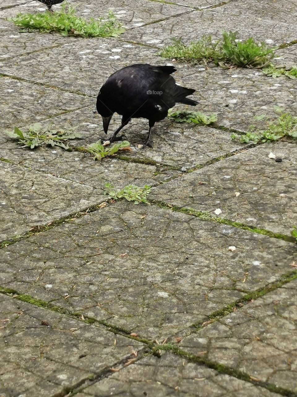 It's time to eat something!!!