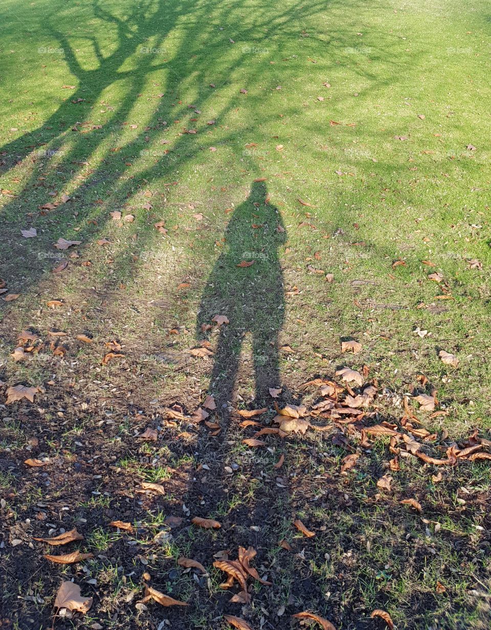 Shadow on grassy land