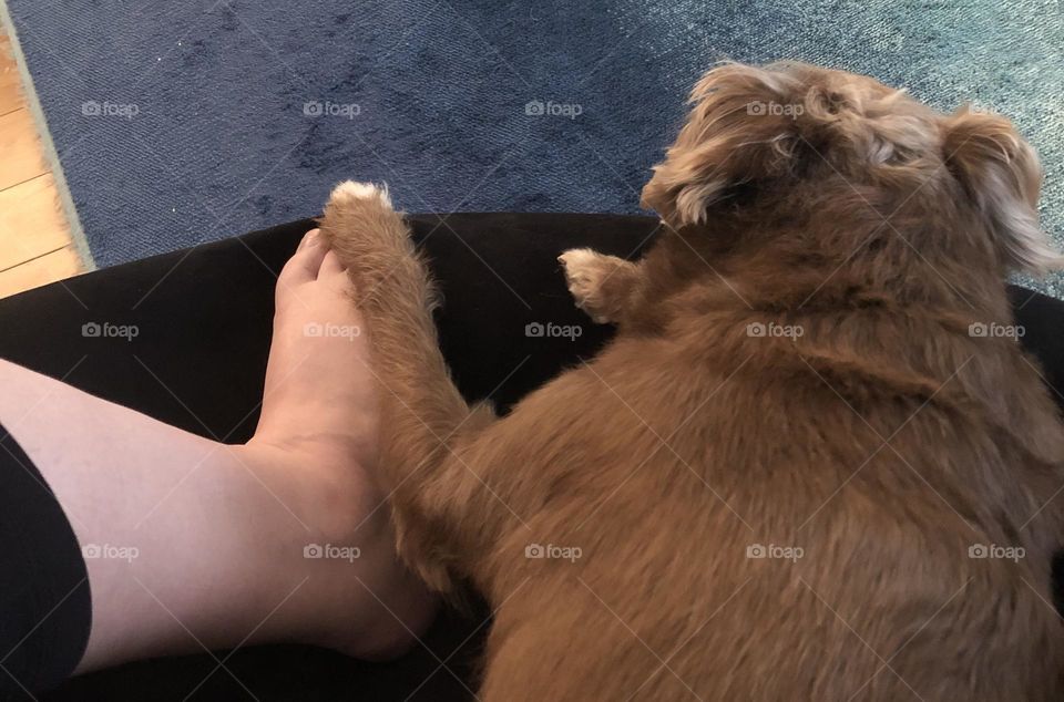 There there, I’m here