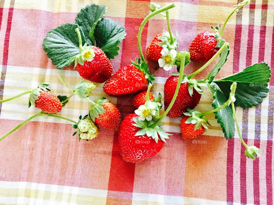 Strawberries 