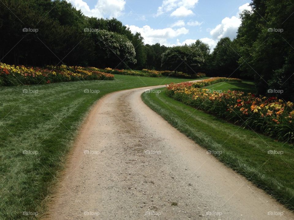 View of country road