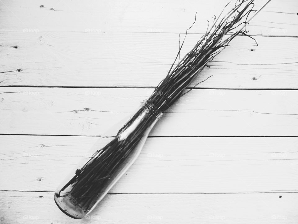 bouquet of dry branches of min. bouquet of dry branches of mint in a glass bottle