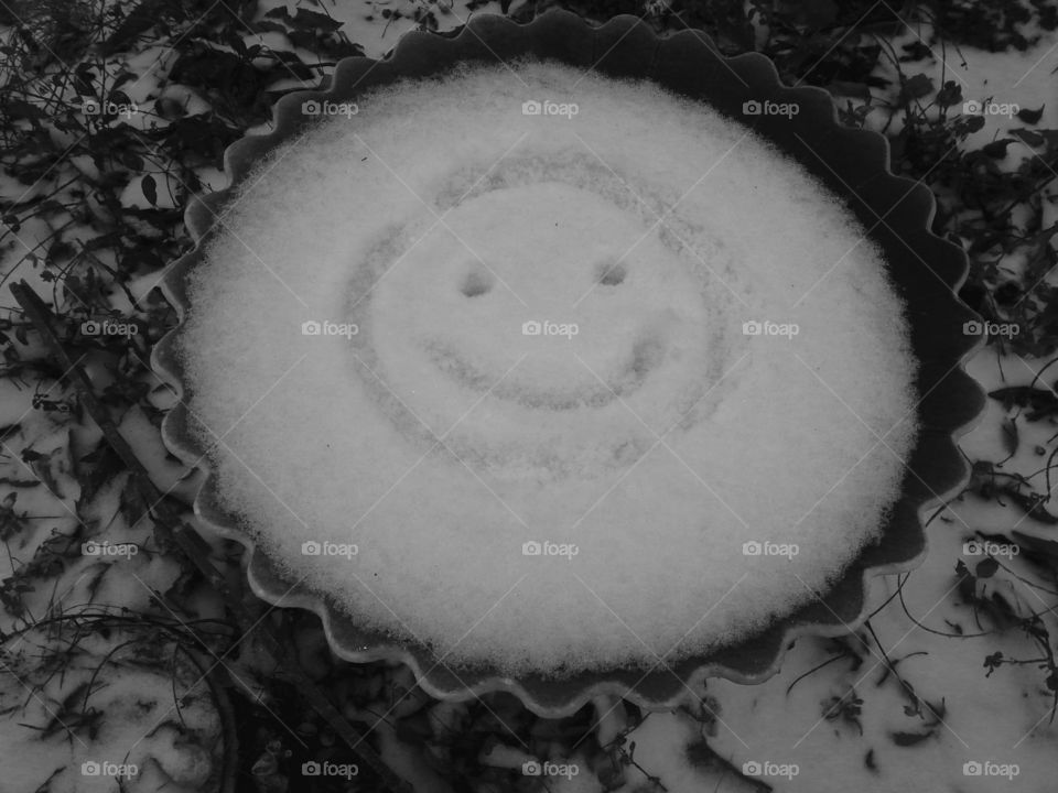 Smiley traced in the snow filled birdbath.