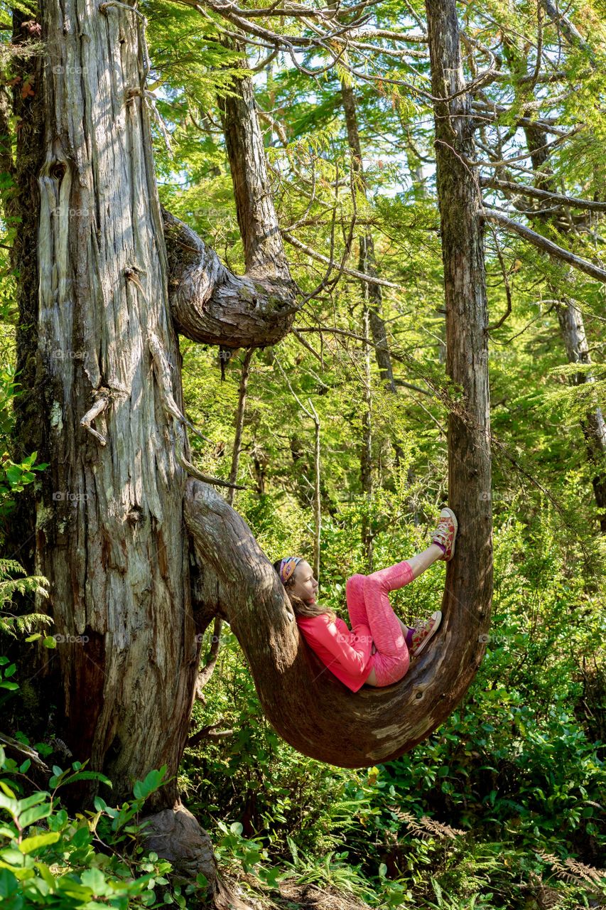 Girl lying on a huge curved tree branch in the middle of pacific rainforest - sun and shadows