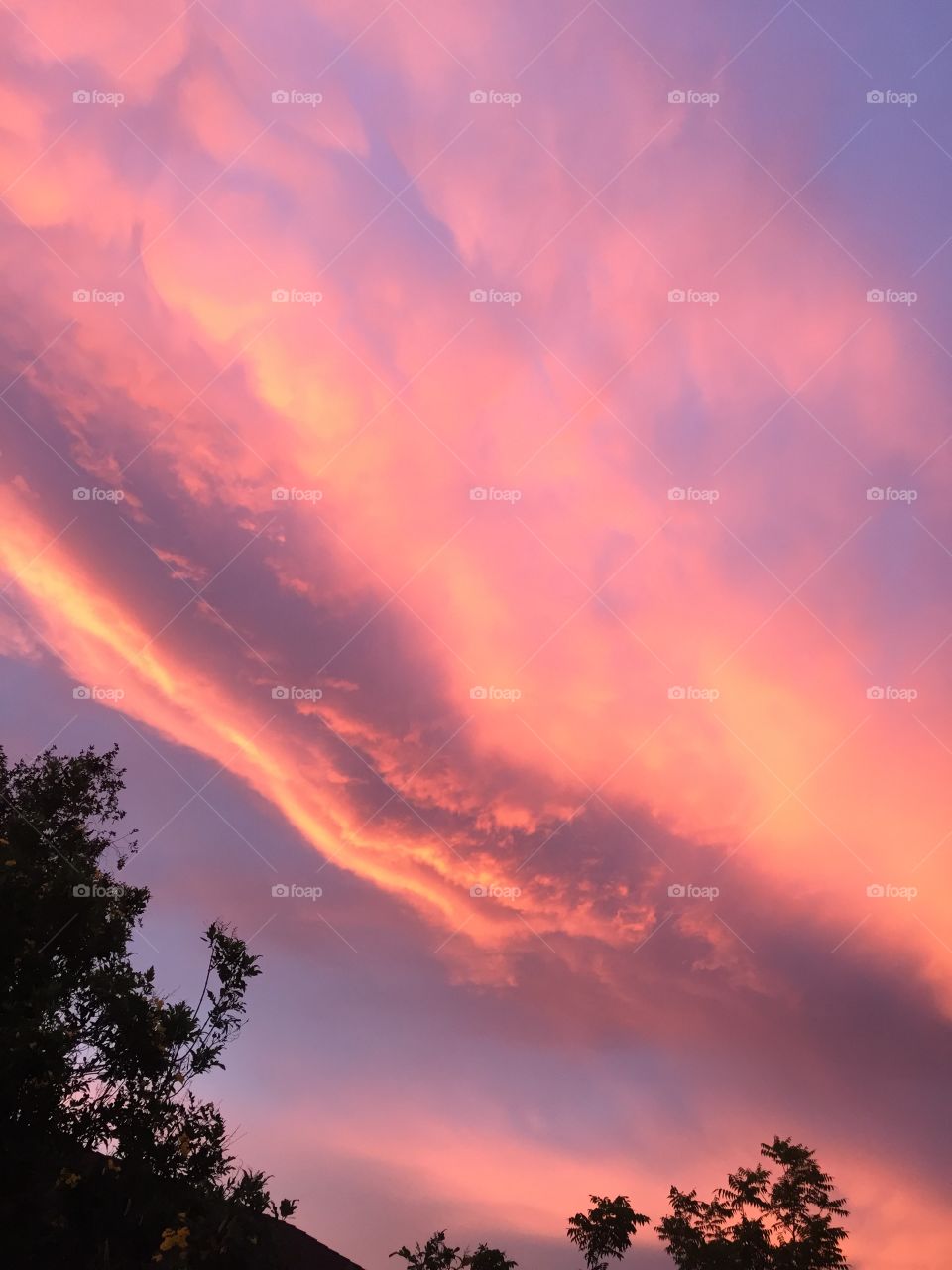 Pink sunset in the clouds 