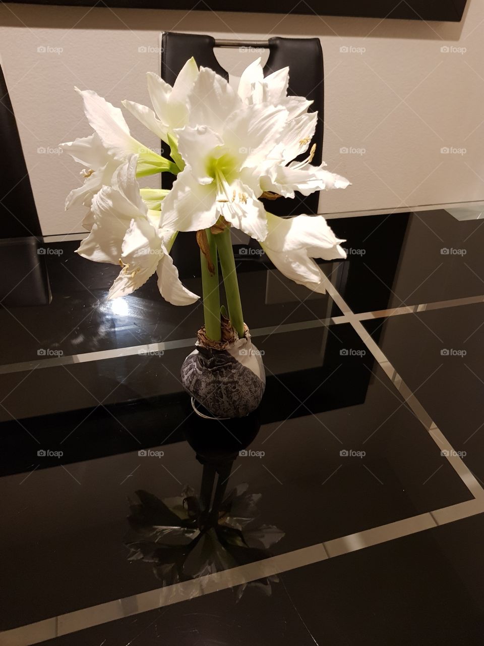 Flowers without watering