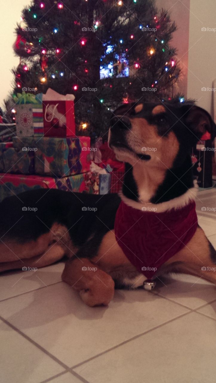 This Little Light of Mine