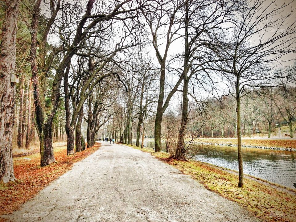 djurgården stockholm