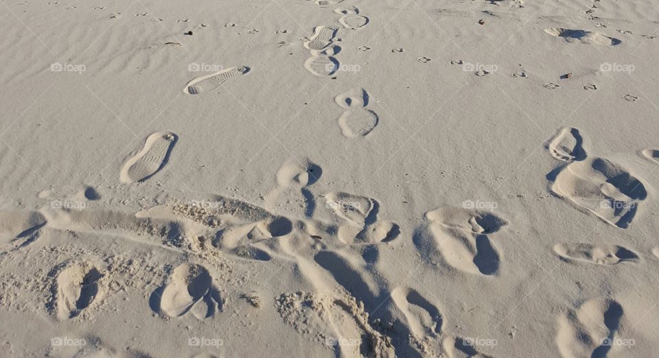 Footprints In The Mississippi Sand