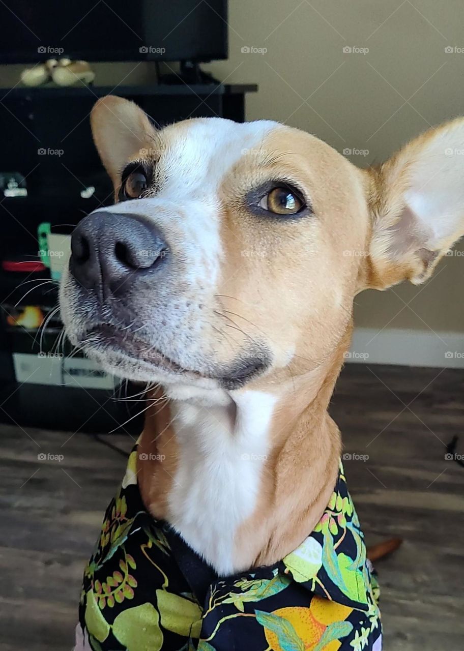 Ready for vacation!!