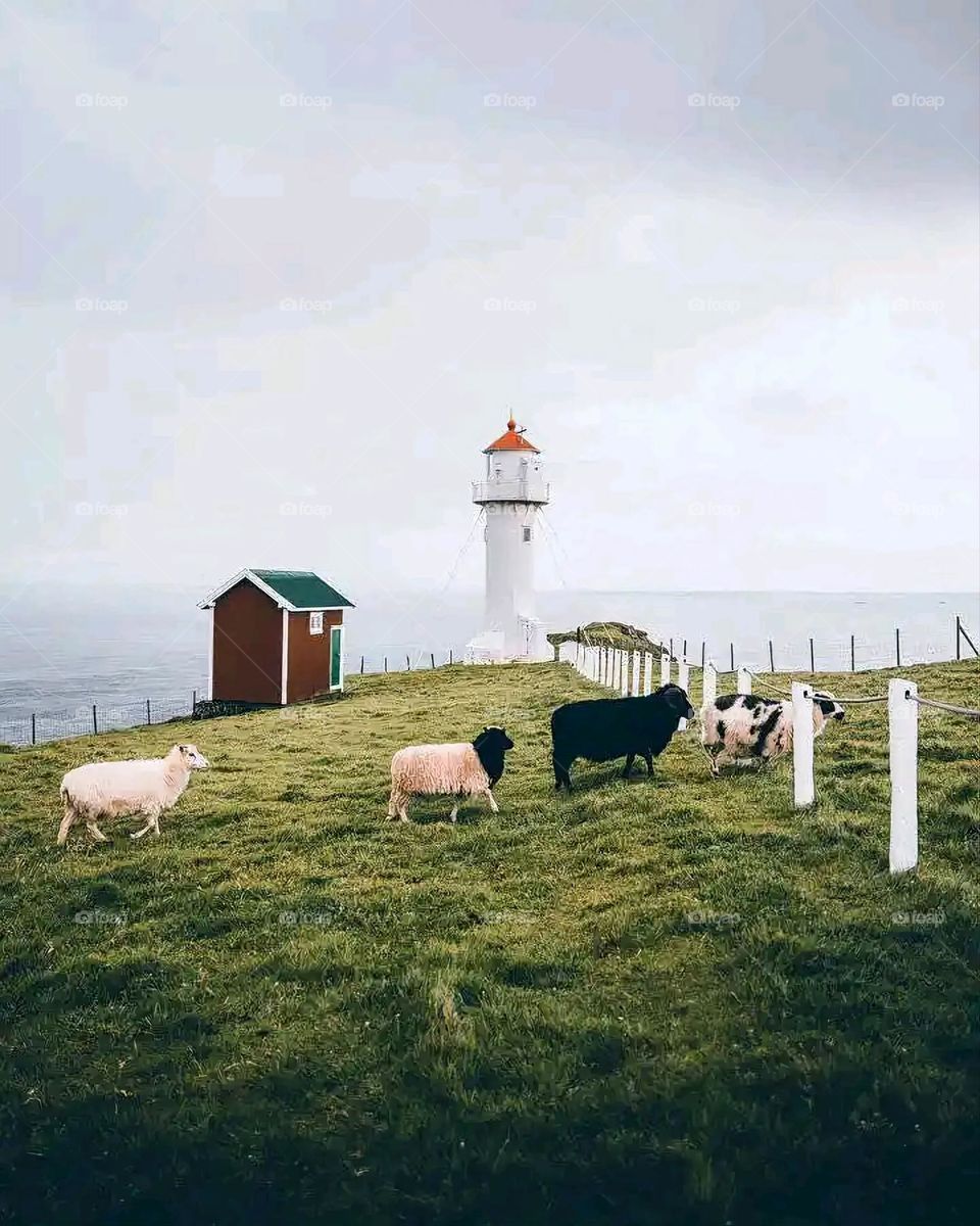 Glory be to God, the magnificent and picturesque view and the natural green trees are a view that is nothing more wonderful than it