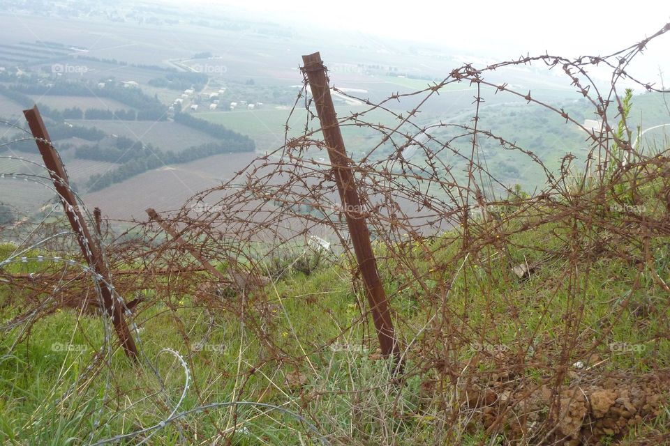 Barbed Wire