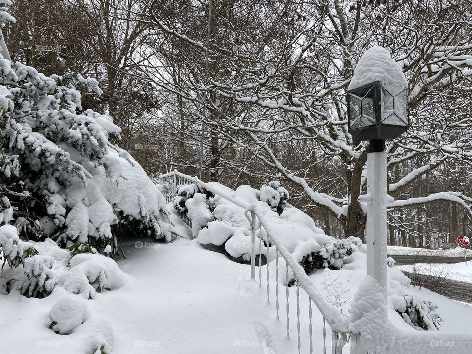 My front steps