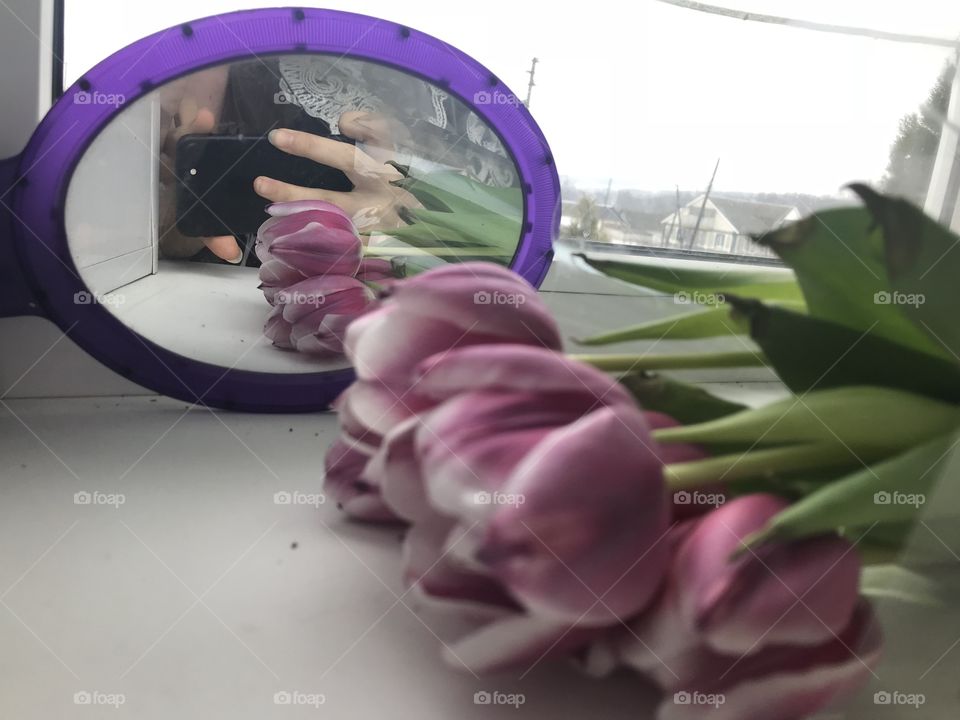 Beautiful tulips ✨💥