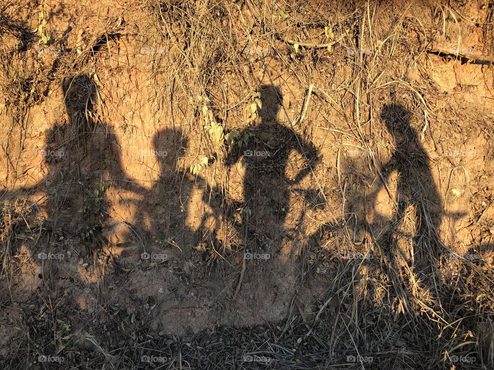 Tarde de sol - bicicleta 