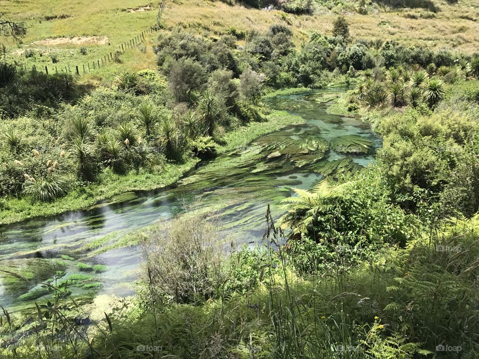 Blue spring, New Zealand, January 2017